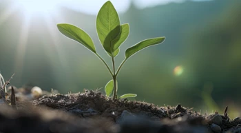 LA SALVAGUARDIA DELL’AMBIENTEPERMEA LA NOSTRA ATTIVITÀ