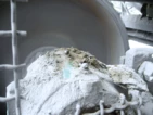 Dust and liquids in the bearing