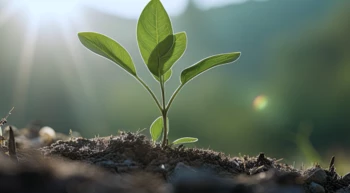 ENVIRONMENTAL PROTECTIONDRIVES US