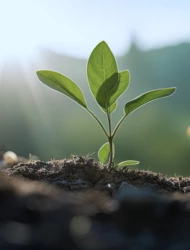 LA PROTECCIÓN DEL MEDIOAMBIENTE MARCA NUESTRAS ACCIONES
