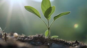 LA PROTECCIÓN DEL MEDIOAMBIENTE MARCA NUESTRAS ACCIONES