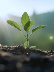LA PROTECCIÓN DEL MEDIOAMBIENTE MARCA NUESTRAS ACCIONES