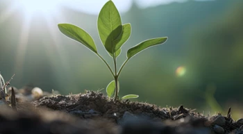 NOTRE ACTION EST GUIDÉE PAR LA PROTECTION DE L’ENVIRONNEMENT