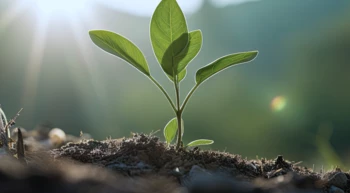 LA PROTECCIÓN DEL MEDIOAMBIENTE MARCA NUESTRAS ACCIONES
